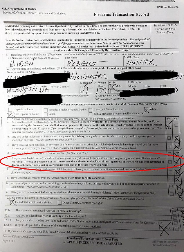 The form above shows that Hunter Biden checked 