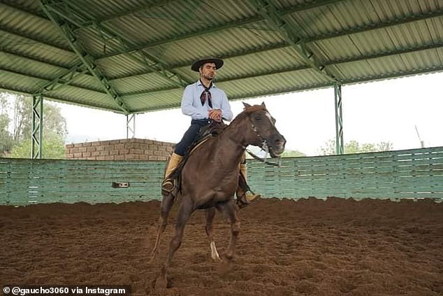 Vice Mayor Santos said the horse (not pictured) he rescued from drowning on a Brazilian street Monday did not resist when he grabbed it by its lasso and halter and escorted it to dry land.