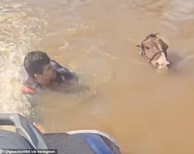 Vice Mayor Marcelo Santos approached a horse on a jet ski and pulled it out of a flooded street in the southern Brazilian city of Canoas on Monday. Canoas has reported four of the 107 deaths after last week's storm in the state of Rio Grande do Sul