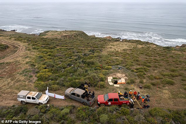 Mexican authorities said the bandits attacked the three to steal the tires from their truck before killing them all and dumping their bodies in a disused well.