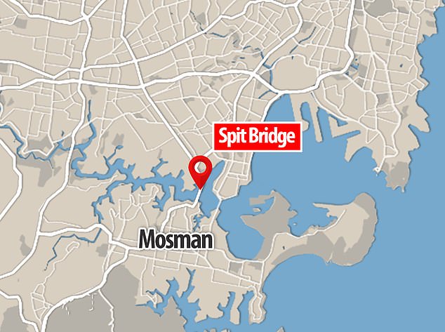 Pictured is a map showing the area of ​​Sydney's north shore where the accident occurred.