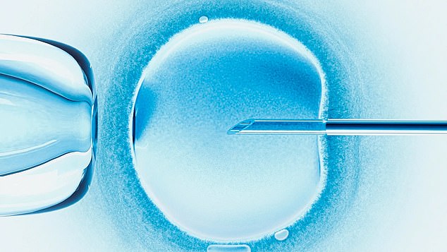 In practice, patients select characteristics such as eye color and the sex of their baby, before a doctor removes eggs from the ovaries to be fertilized by sperm in a laboratory (seen here).