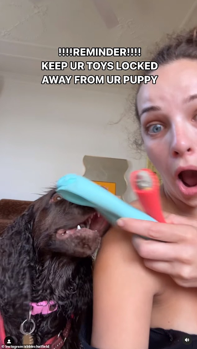 The social media star's confession comes after she was devastated when she discovered her new puppy Daisy had 'destroyed' her sex toys.