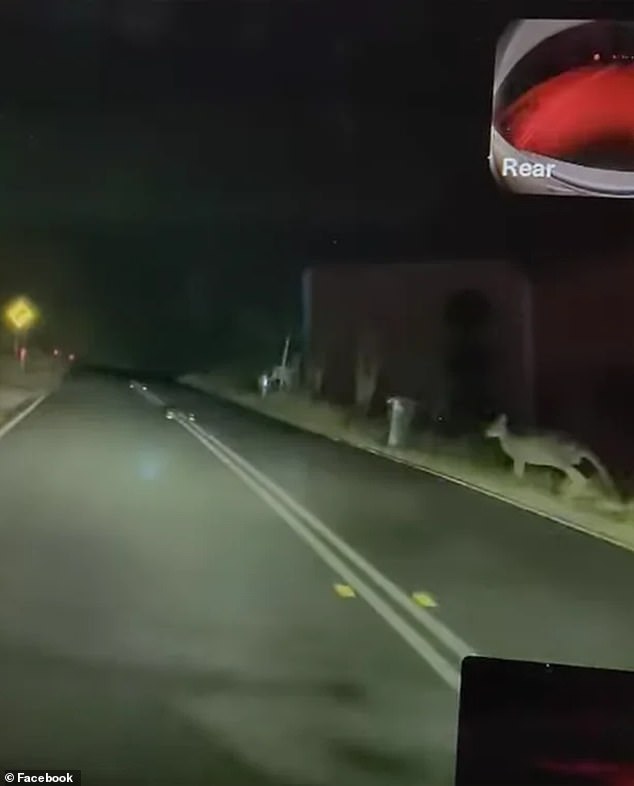 Goff was traveling on a rural road in New South Wales when he gently hit a kangaroo, but the impact was enough to activate the safety feature.