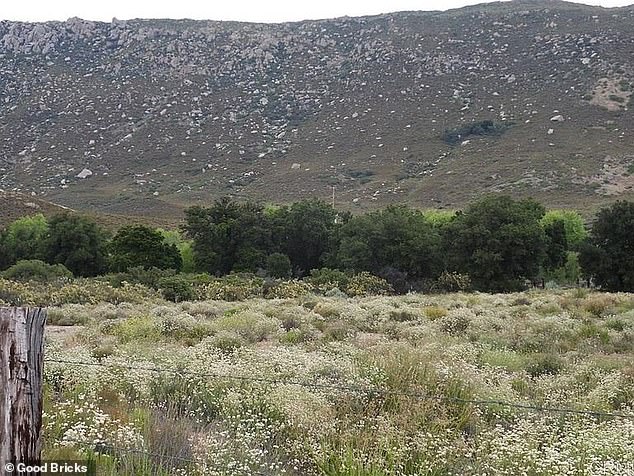 The nonprofit argues that the cemetery would have minimal environmental impact and comply with all state and county regulations.