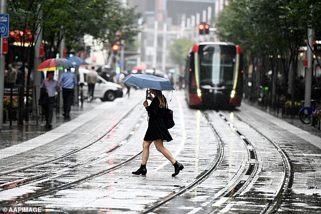 Sydneysiders should carry an umbrella if they venture out this weekend and those further south in the Illawarra and South Coast should keep an eye out for flood warnings.