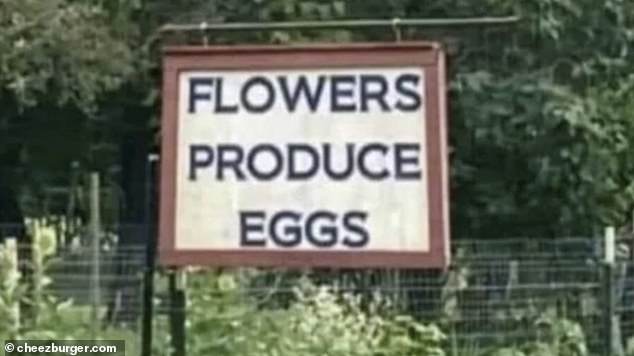 Elsewhere, a local farmers store quickly learned a lesson about the importance of commas when trying to advertise that they sold flowers, produce and eggs.