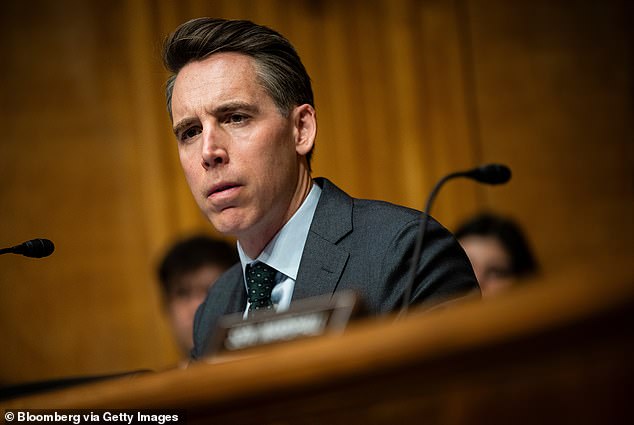 Sen. Josh Hawley, R-Mo., told DailyMail.com that nonprofits funding pro-Palestinian protests on college campuses could be illegal.