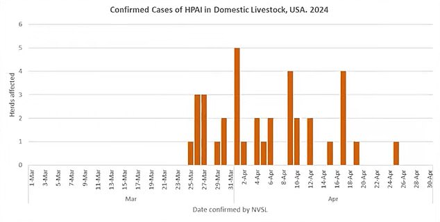 The graph above shows dairy herds that tested positive for bird flu over time. Authorities fear this will bring the virus one step closer to infecting humans.