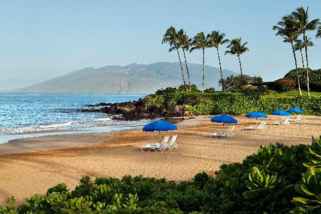 Ray was snorkeling with friends at Wailea Beach (pictured) when the incident occurred.