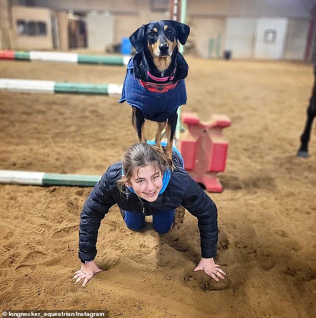 When Longnecker visited Miles (pictured), he calmly walked to the front of the kennel and lay down. Shelter workers said they had never seen Miles act so approachable around another person.