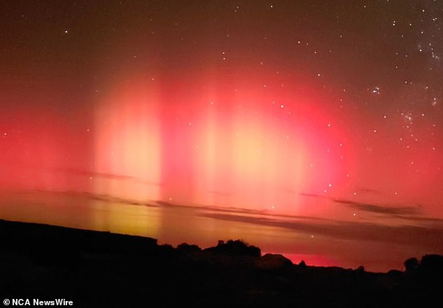 The lights of Coodlie Park Eco Retreat on the Eyre Peninsula (photo: Krystina Rose)