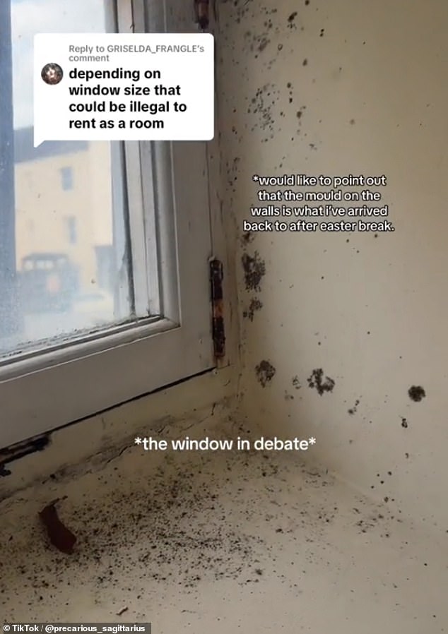 Despite paying a huge amount each month, Ness showed off the excess mold next to a small street-level window with iron bars and said the temperatures were 