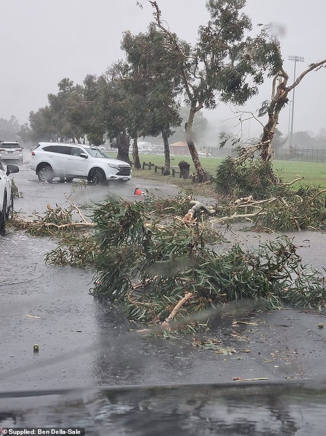 Local Ben Della-Sale recorded the initial stages of the surprise tornado and described seeing trees uprooted by the strong winds.