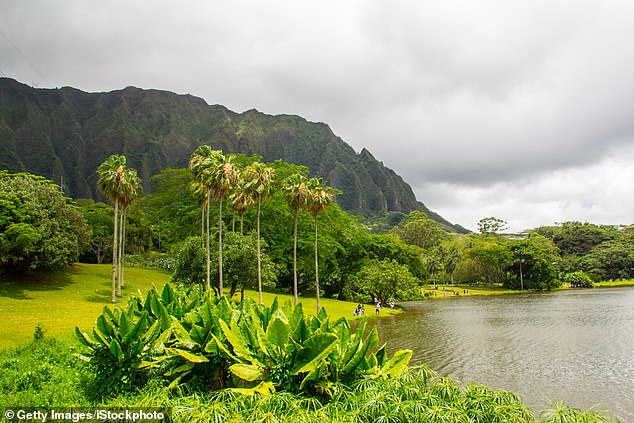 The garden quickly became known as one of the best places in Hawaii to capture stunning photos. The number of tourists increased from 250,000 in 2017 to more than 550,000 in 2022.