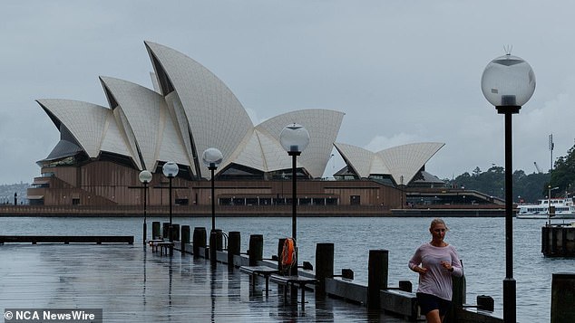 The Bureau of Meteorology forecasts rainfall of up to 20mm in metropolitan Sydney this morning