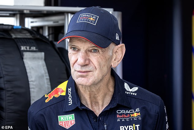 Red Bull racing engineer Adrian Newey will leave the team in early 2025.