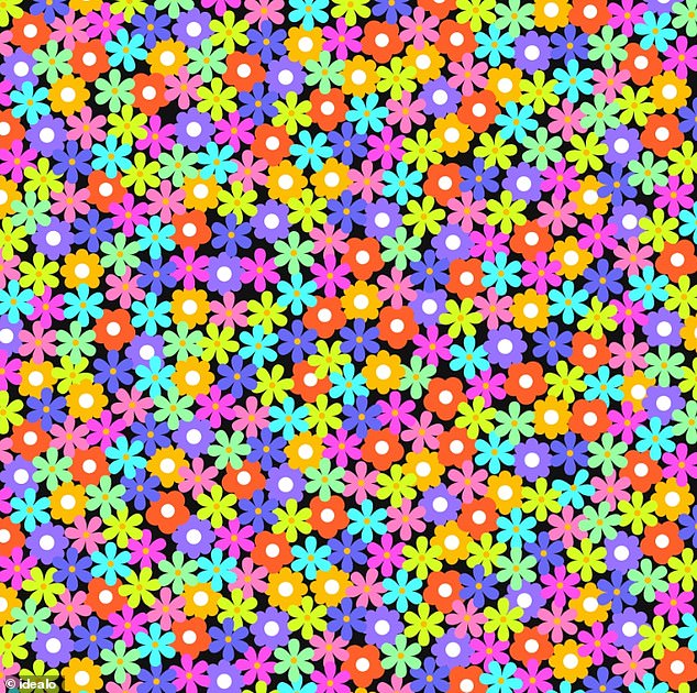 This complicated riddle has left many scratching their heads in an attempt to find the missing petal among the sea of ​​vibrant multicolored flowers.