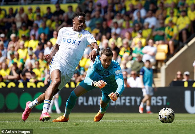 Leeds felt robbed because Junior Firpo's goal on the half hour mark was disallowed for offside