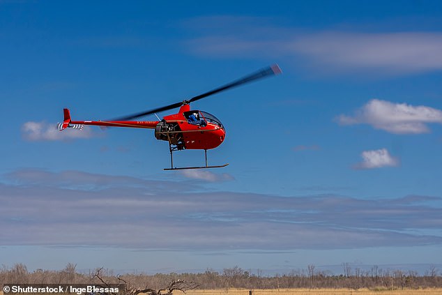 A man allegedly rounded up cattle with a helicopter (file image) while a ground team used buggies to catch bulls.