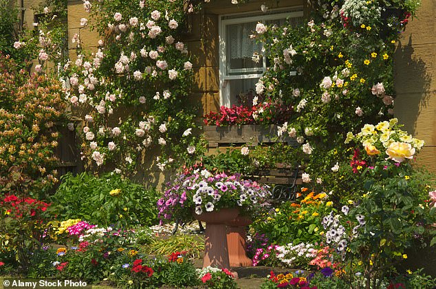 A well-maintained yard can add 20 percent to the value of your home.