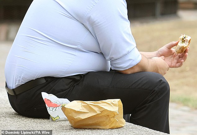 Losses from work due to obesity-related illnesses are seriously hampering economic growth, a landmark study warns today (file photo)