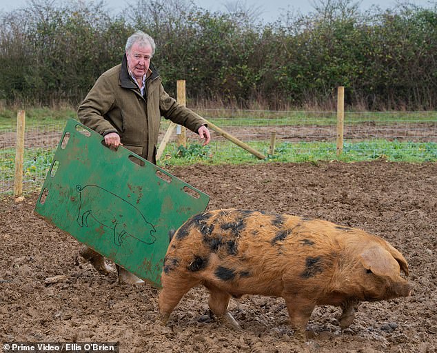 The former Top Gear presenter proves he's a hands-on owner as he herds one of his pigs across a paddock.