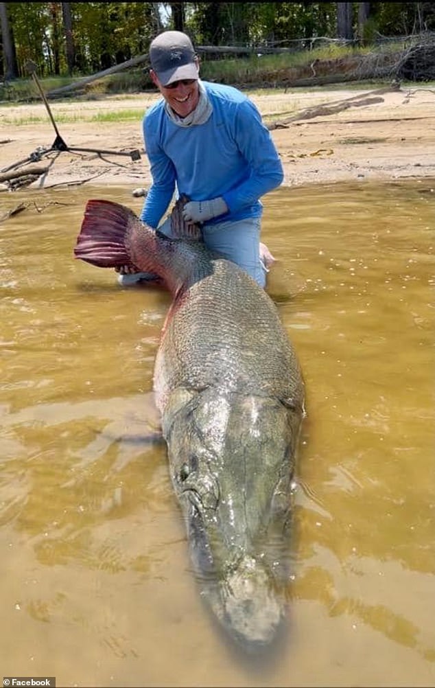 Weston hooked the fish on four-pound fishing line. The fish weighed 188 pounds.