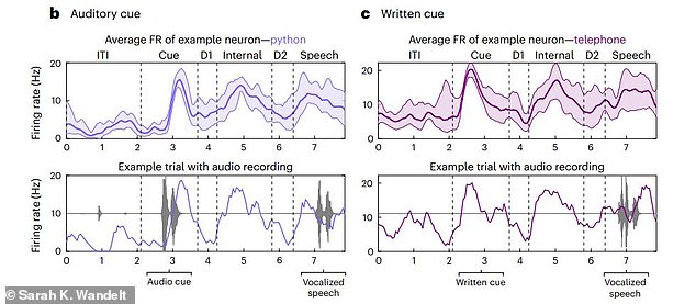 On trials, participants were given a word and asked to vocalize it or say it internally. The graphs show the activity of a single neuron in your brain while saying 