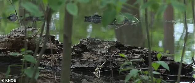 The medium said she was attracted to visions of 'a log' that helped her locate the body.