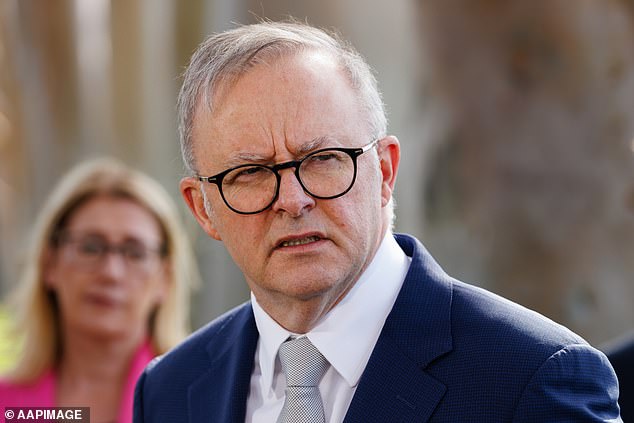 Albanese (pictured) along with state and territory leaders pledged earlier this year to build 1.2 million homes over five years from July 2024.