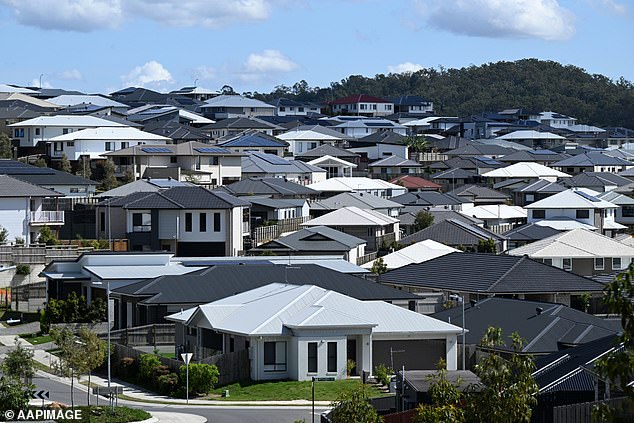 Charmaine Crowe, social security program manager at the Australian Council of Social Services, said the JobSeeker payment needed to be increased (file image)