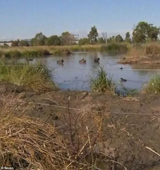 Ali's devastated family demand answers as to why a fine wire fence is all that stood between a pond and nearby homes.