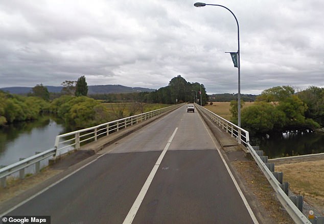 Darren Ward Gale threw Ingham's head off a Tasmanian bridge (pictured) and drowned the dead man's two dogs.