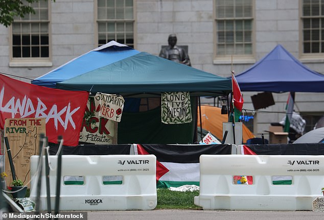 Spokesman Jonathan Swain said Interim Ivy League President Garber plans to meet with the student protester to further discuss the war in Gaza.