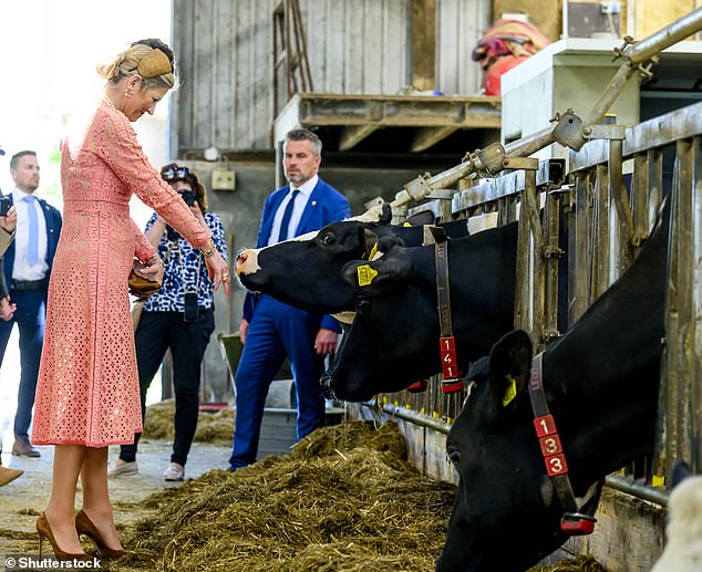 Máxima didn't let her heels stop her from getting stuck during her visit to a farm