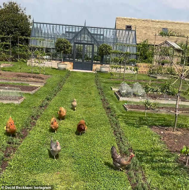 The retired footballer was followed by birds as he showed off some of the carefully laid out land surrounding the estate.