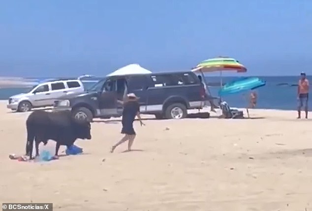 The woman is seen running as the bull prepares to chase her. One man (far right) tried to get her away from the bull the entire time, but she continued to interact with him.