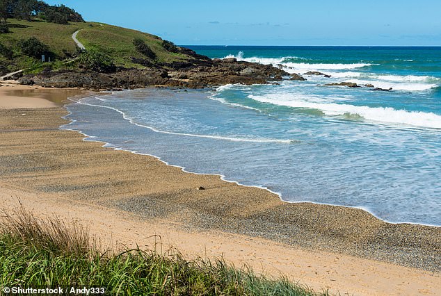 The 21-year-old had been surfing at Park Beach, Coffs Harbor (pictured) when he was attacked with a random stabbing.