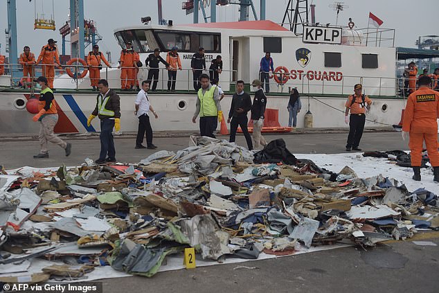 This photo taken at the Tanjung Priok port in Jakarta on October 30, 2018 shows Indonesians examining the wreckage of the ill-fated Lion Air flight JT 610 in Jakarta.