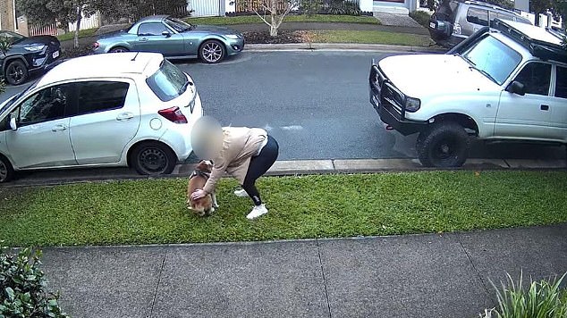 She was seen pushing the bulldog's butt down encouraging him to clean himself on the grass and did not use the doggie bags visibly attached to the leash.