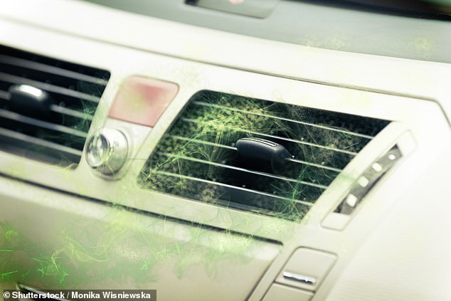 Some people have reported problems with Tesla's air conditioning system, saying it develops mold that can make you sick.