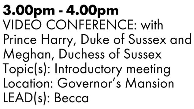 The Sussexes participated in an hour-long virtual meeting with the Democratic governor on October 19, 2020, according to a memo obtained by The Sun (above)