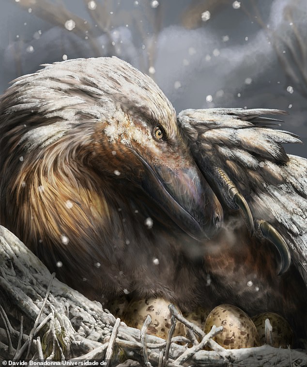 Researchers say the feathered relatives of the T.Rex and Velociraptor spread to colder regions to survive a climate disaster and evolved the ability to regulate their own internal temperature. This art print shows a dromaeosaur, a type of feathered theropod, in the snow.