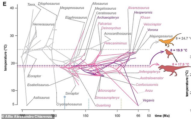 This graph shows the evolution of theropods, the ancestors of modern birds, in relation to the temperature of their habitat. You can see how more dinosaurs adapted to living in colder climates (below on the graph) as they evolved.