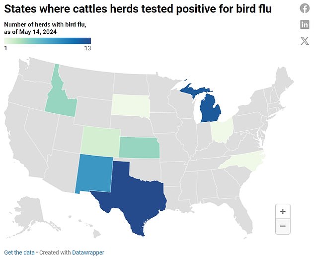 The map above shows the number of herds reporting avian flu infections by state.