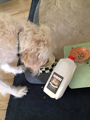 People have also posted photos of themselves feeding raw milk to their animals.