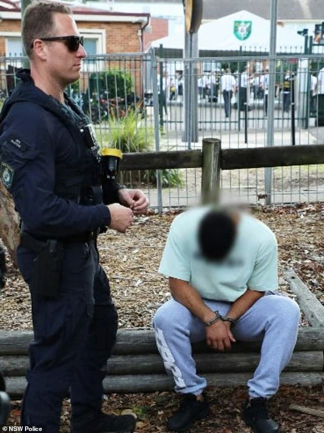 Wakeham, 25 (pictured right) was arrested at Brookvale Oval on Sydney's northern beaches as part of a major police investigation.