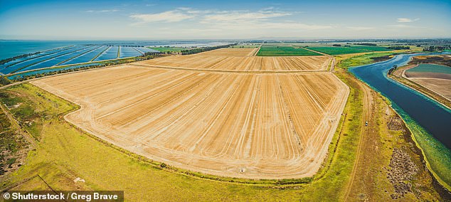 Werribeee, 30 minutes from Melbourne's CBD, was the center of rumors on Wednesday that it was to be home to an Australian Disneyland (pictured, the Werribee River next to the fields).