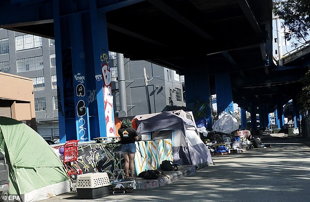 A homeless encampment under a freeway overpass in San Francisco on April 22, 2024.